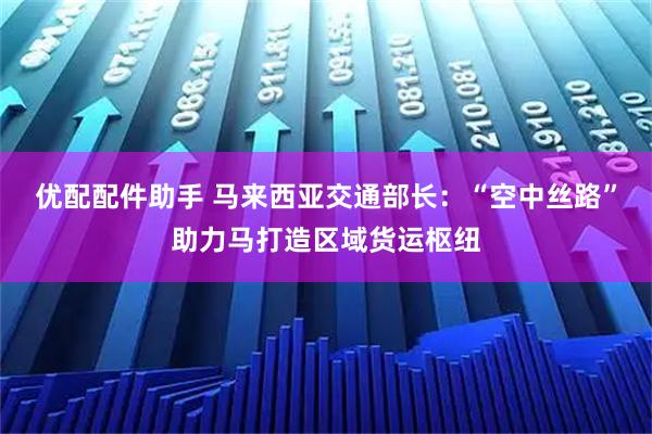 优配配件助手 马来西亚交通部长：“空中丝路”助力马打造区域货运枢纽