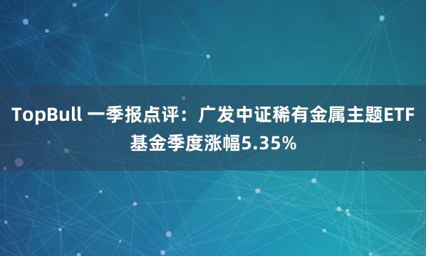 TopBull 一季报点评：广发中证稀有金属主题ETF基金季度涨幅5.35%
