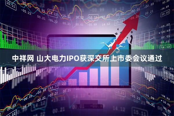 中祥网 山大电力IPO获深交所上市委会议通过