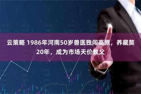 云策略 1986年河南50岁兽医独闯高原，养藏獒20年，成为市场天价教父