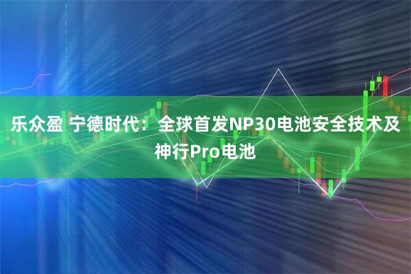 乐众盈 宁德时代：全球首发NP30电池安全技术及神行Pro电池